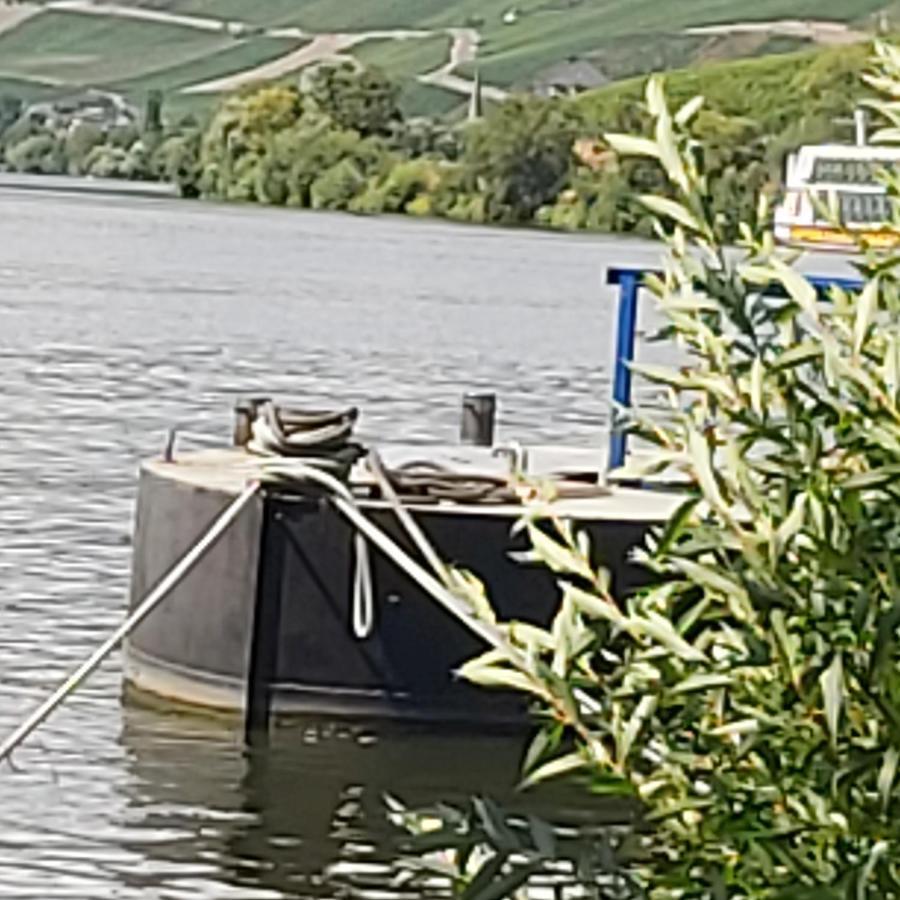 Kleine Altstadt Oase Daire Bernkastel-Kues Dış mekan fotoğraf