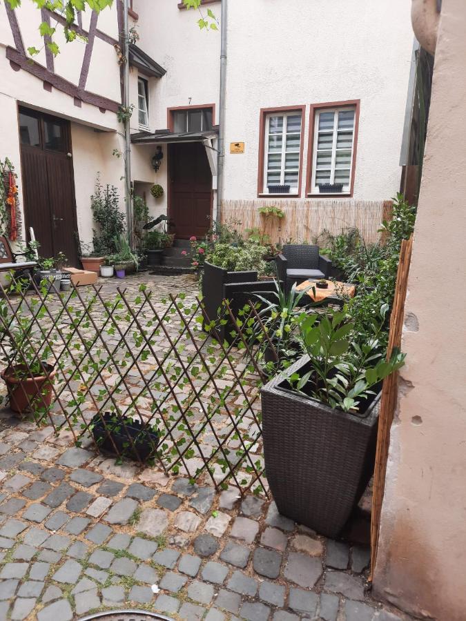 Kleine Altstadt Oase Daire Bernkastel-Kues Dış mekan fotoğraf