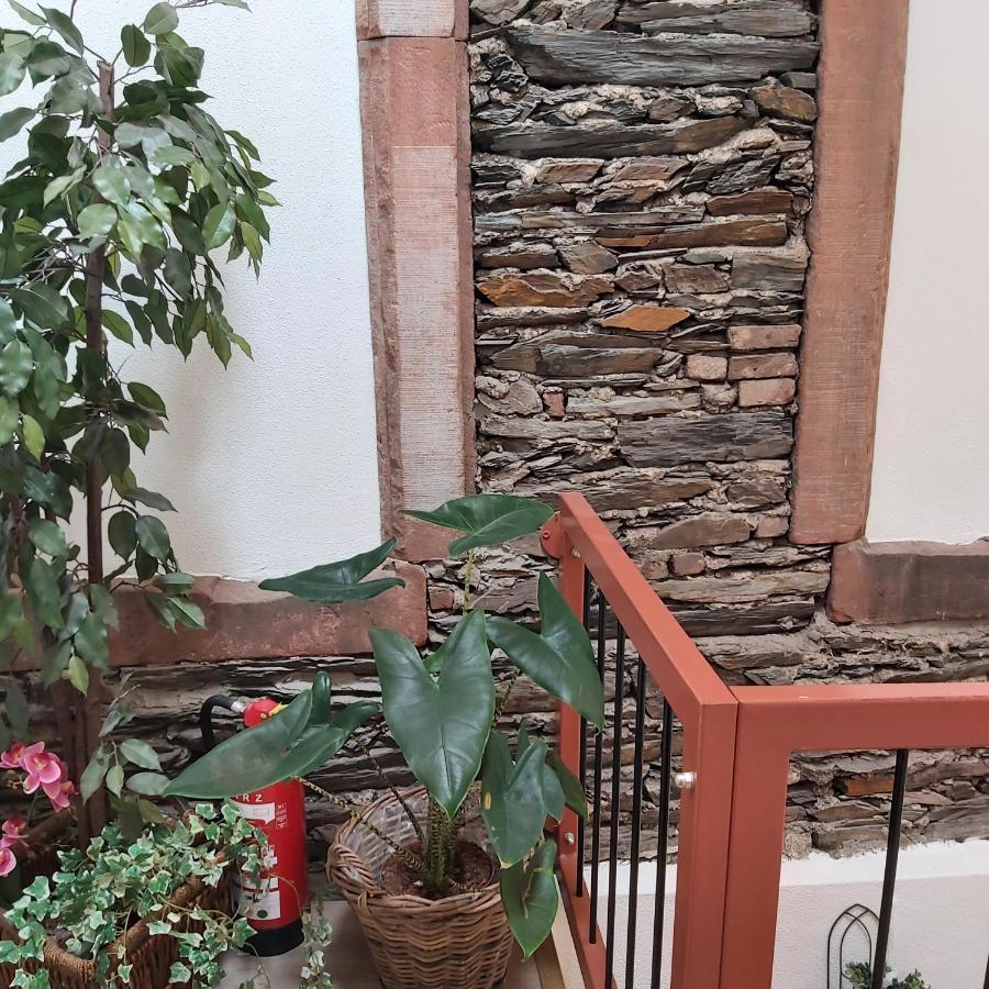 Kleine Altstadt Oase Daire Bernkastel-Kues Dış mekan fotoğraf