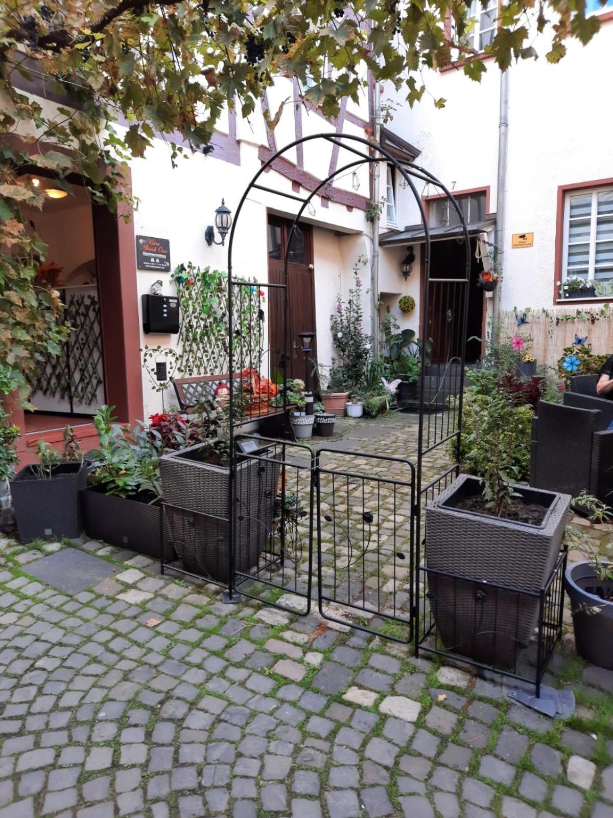 Kleine Altstadt Oase Daire Bernkastel-Kues Dış mekan fotoğraf