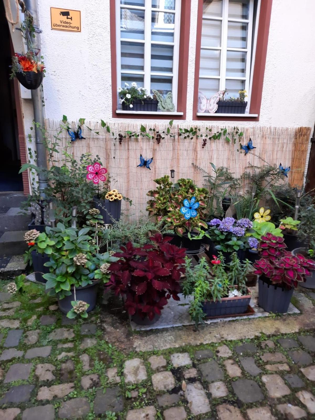 Kleine Altstadt Oase Daire Bernkastel-Kues Dış mekan fotoğraf